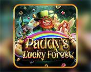 Paddy's Lucky Forest